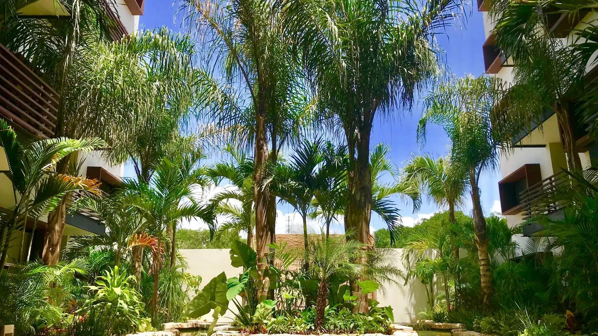 Family Condo- Fast Wifi And Oceanview Pool Playa del Carmen Mexico